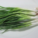 Spring Onion - Green Shallot
